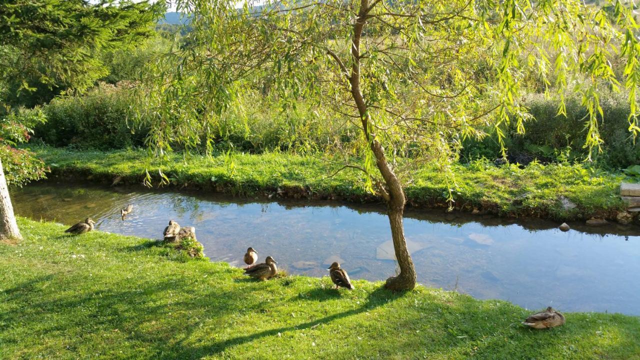 Rustic Inn River Prijeboj Eksteriør billede